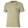Elm