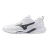 White/Metallic Gray
